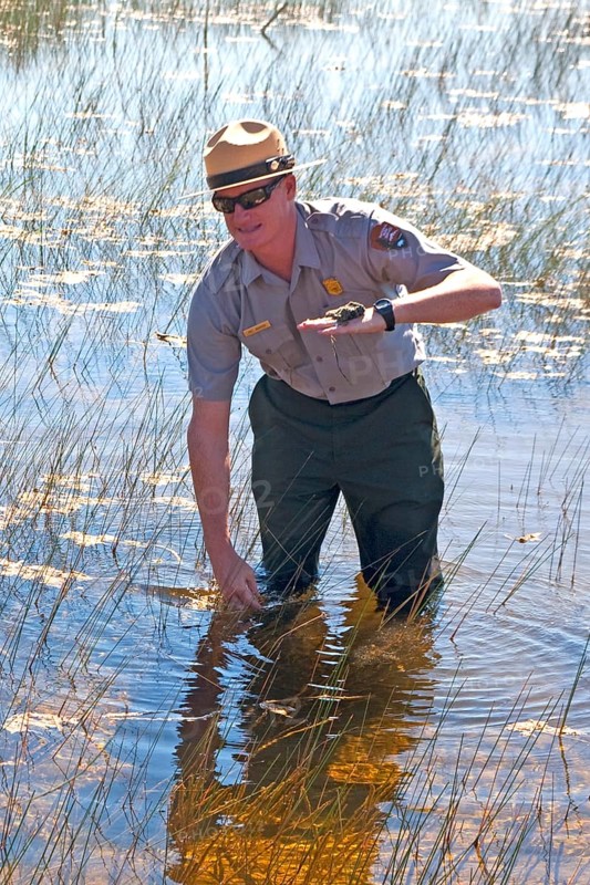 Ranger explains the swampland