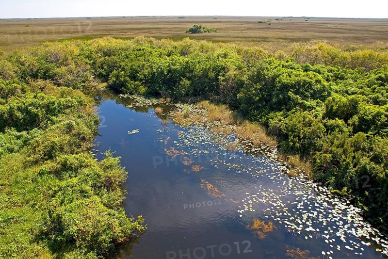 Swampland