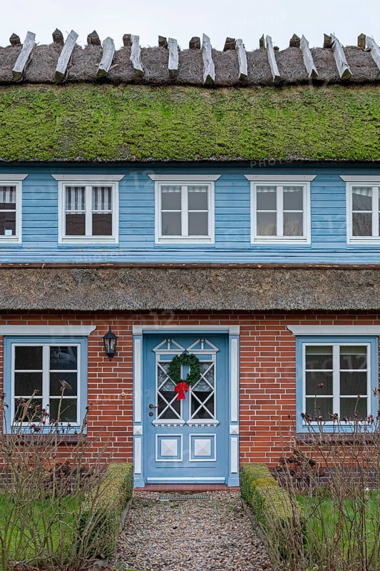 Thatched roof house