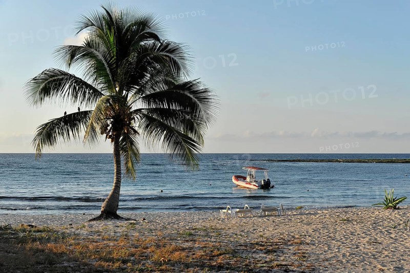 Morning on the beach