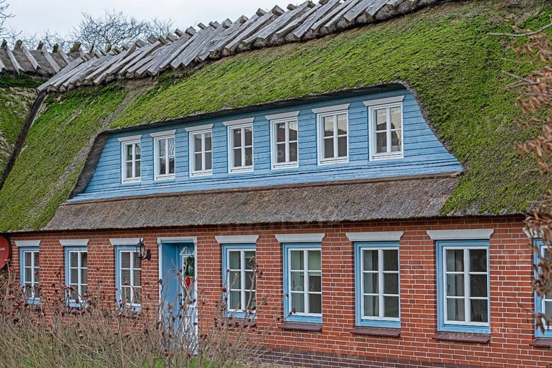 Thatched roof house
