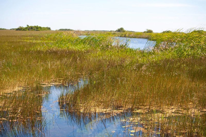 Swampland