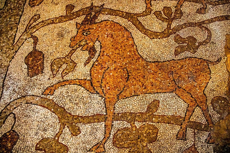 Floor mosaic in the Cathedral dell' Annunziata