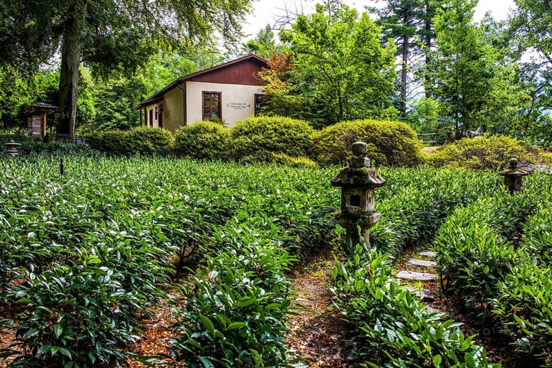 Tea house