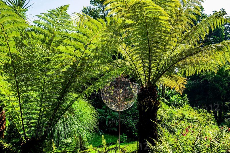Andre Heller Botanical Garden with artworks by international artists