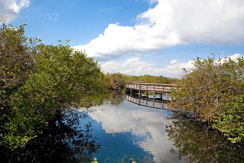 Anhinga Trail