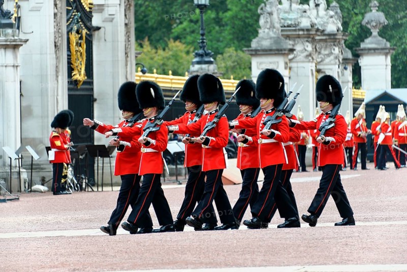 Queen's Guard