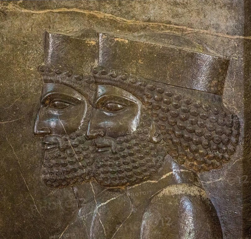 Throne Guard