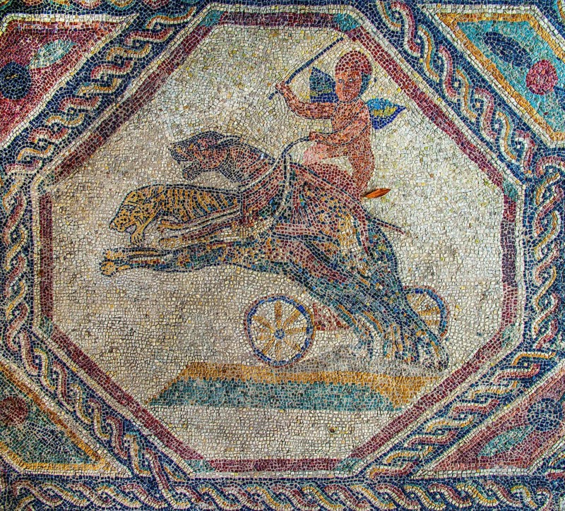 Amorette as charioteer