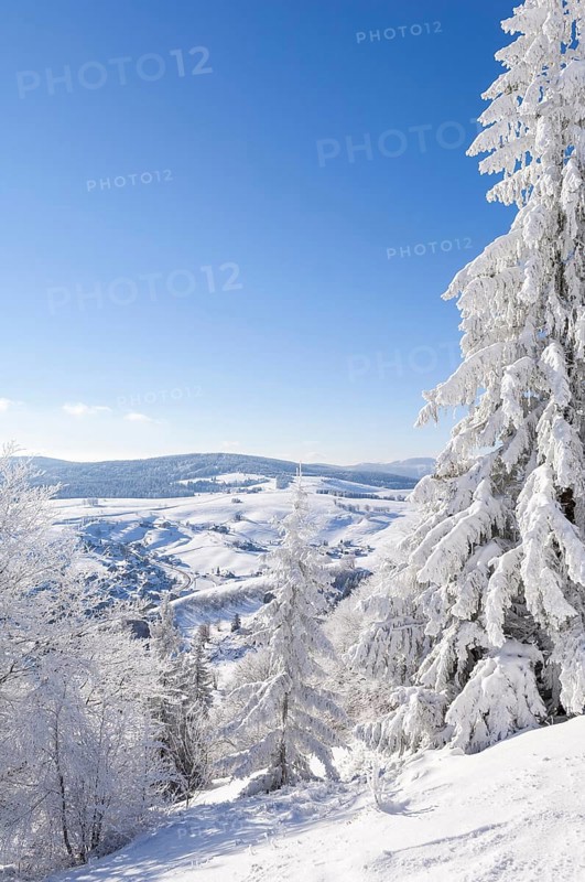 Winter landscape