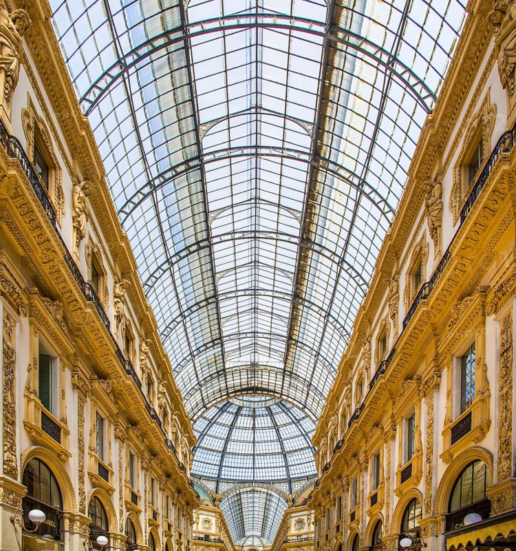 Galleria Vittorio Emanuele conorhynchos (1877) built