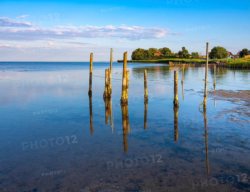 Coastal landscape at the Greifswald Bodden in the evening light