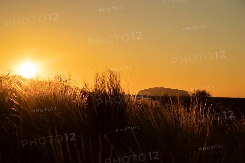 Uluru at sunrise
