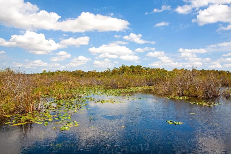 Anhinga Trail