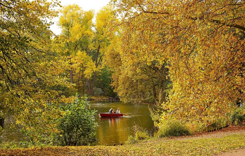 Rowing boat with family in autumn on Neuer See