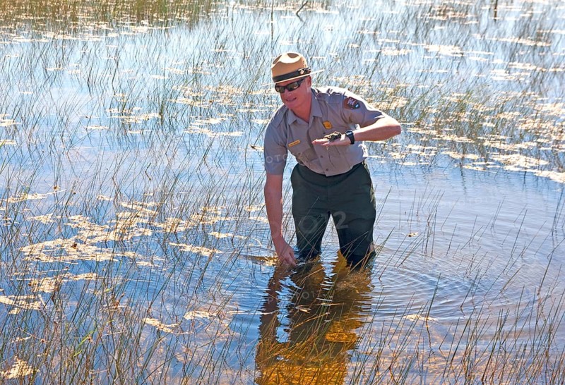 Ranger explains the swampland