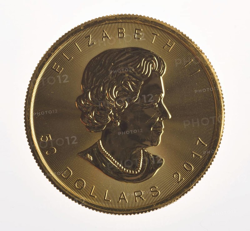 Gold Coin