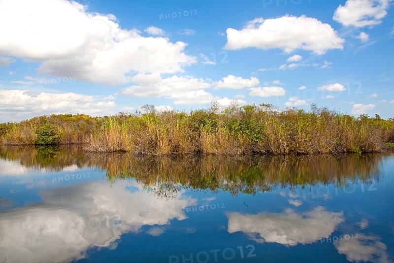 Anhinga Trail