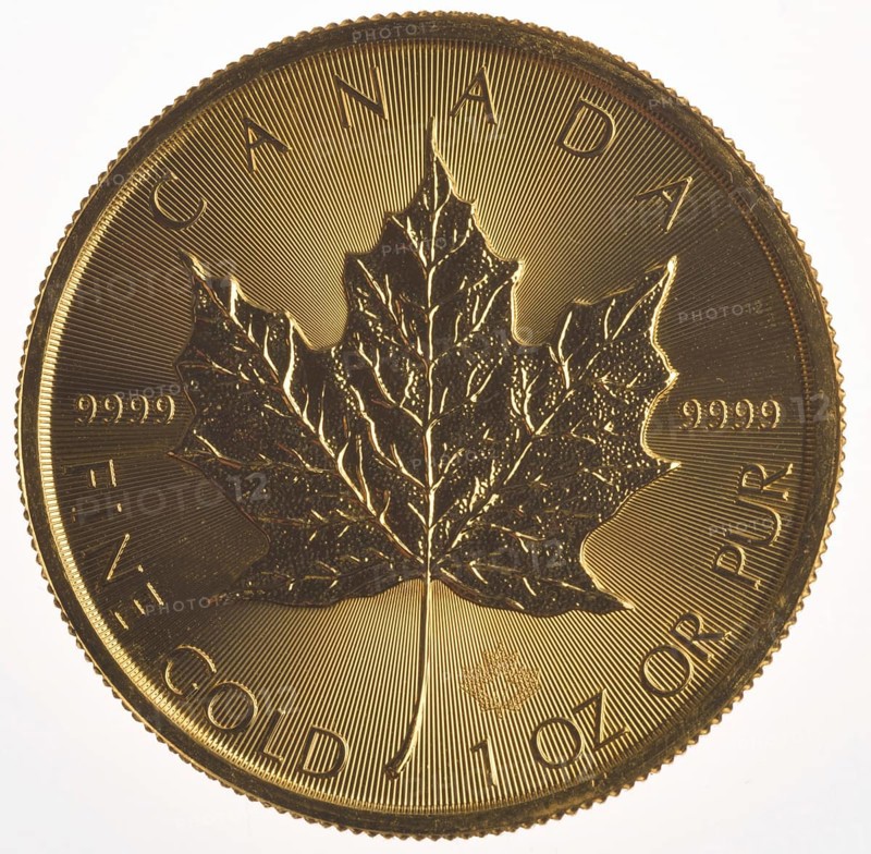 Gold Coin