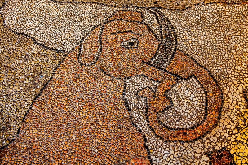Floor mosaic in the Cathedral dell' Annunziata