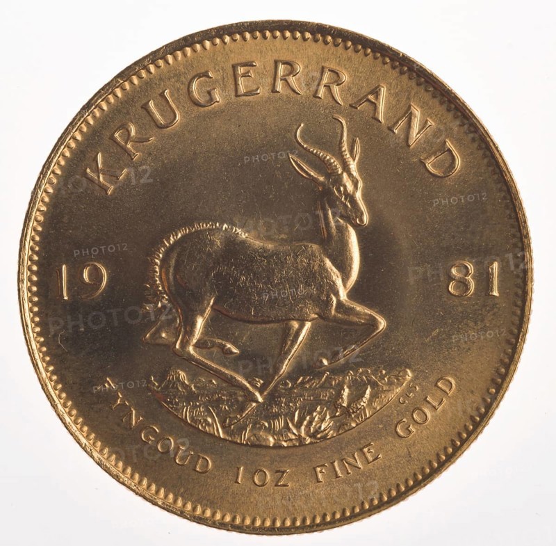 Gold Coin