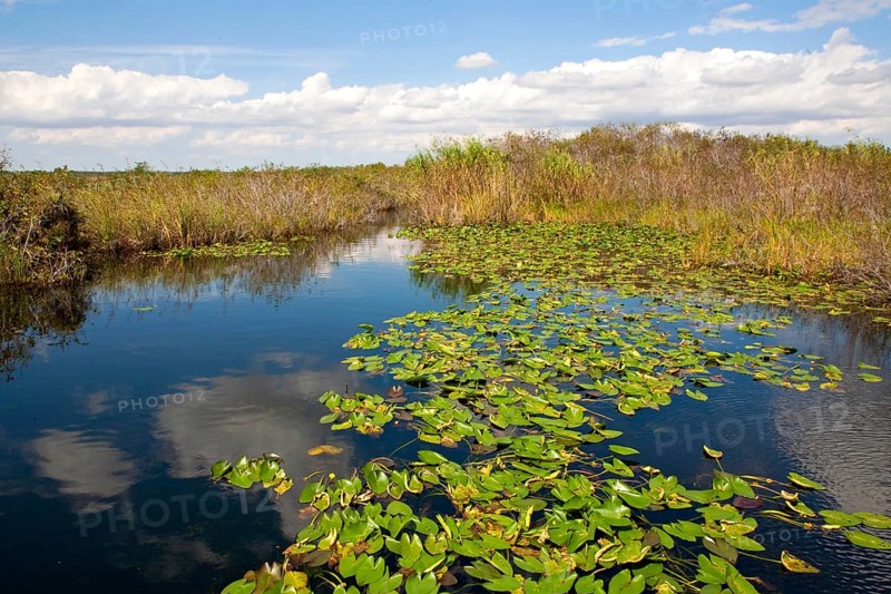 Anhinga Trail