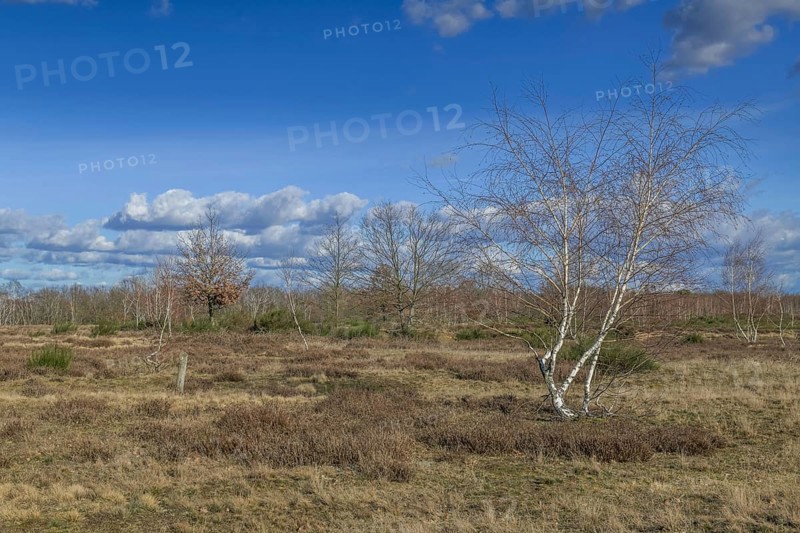 Heinz Sielmanns Naturlandschaft