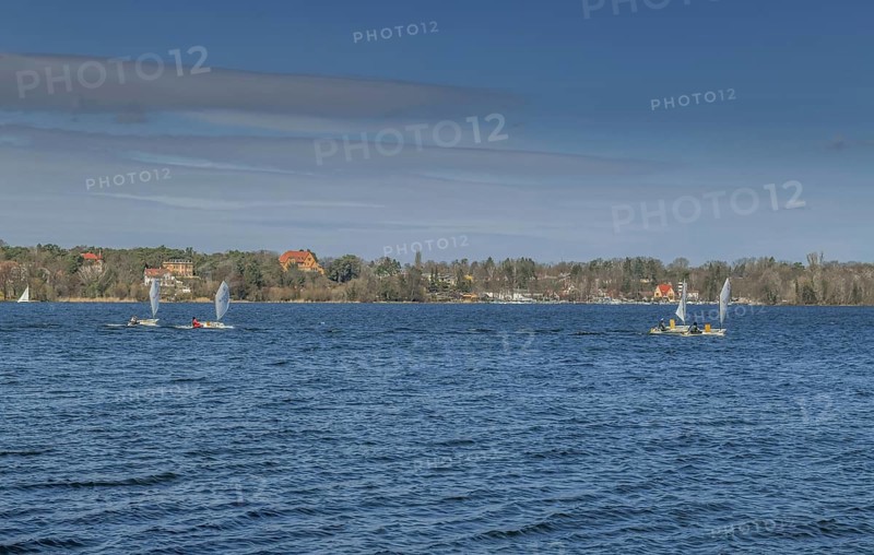 Optimist sailors