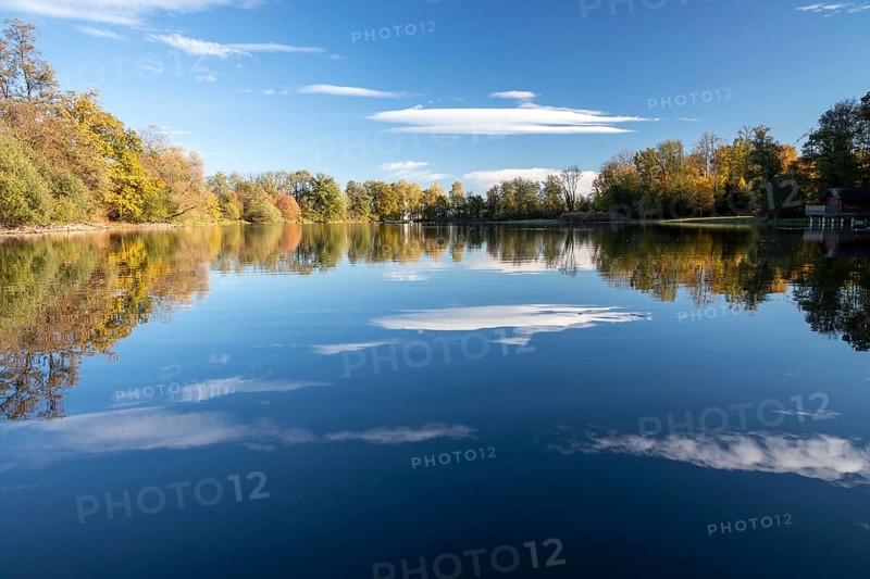 Autumn trees on the shore of the Lengwil pond
