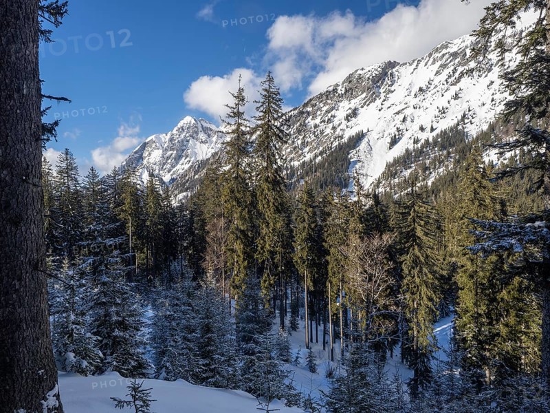 Winter landscape