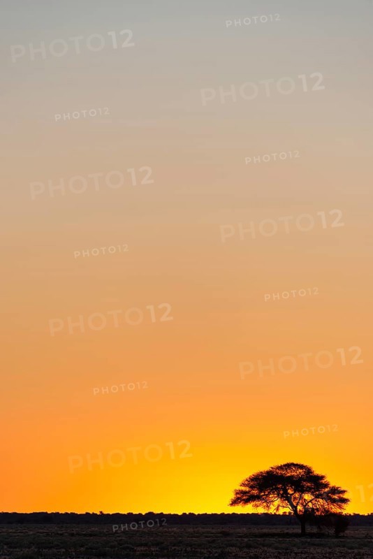 Play of colours after sunset in the Central Kalahari Game Reserve