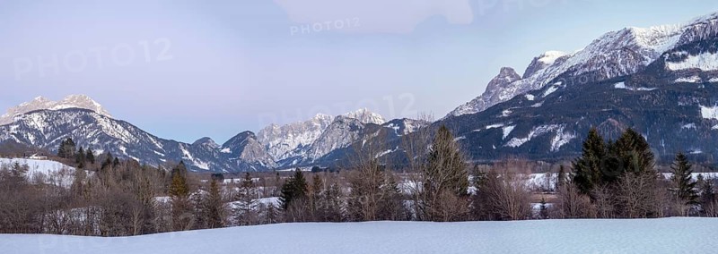 Buchstein group