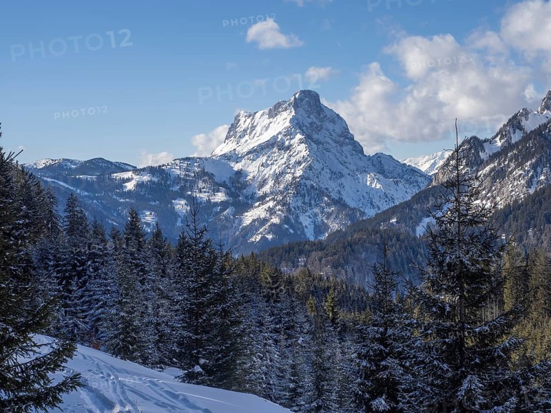 Winter landscape