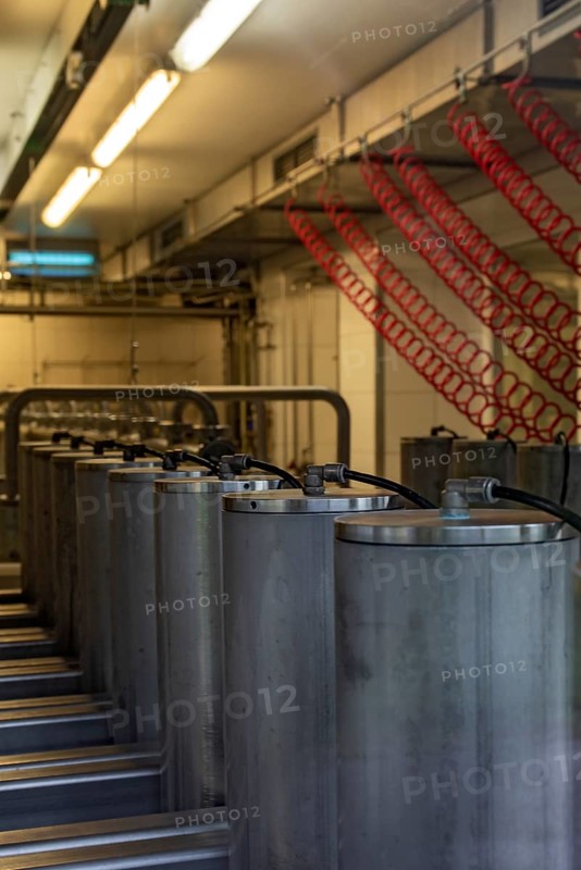 Cheese pressing in the cheese dairy in Almdorf Eng