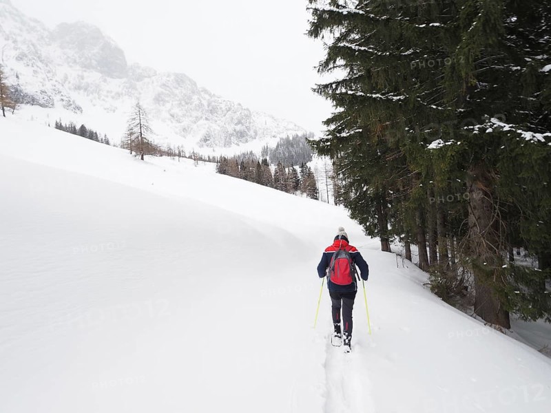 Snowshoe hiker