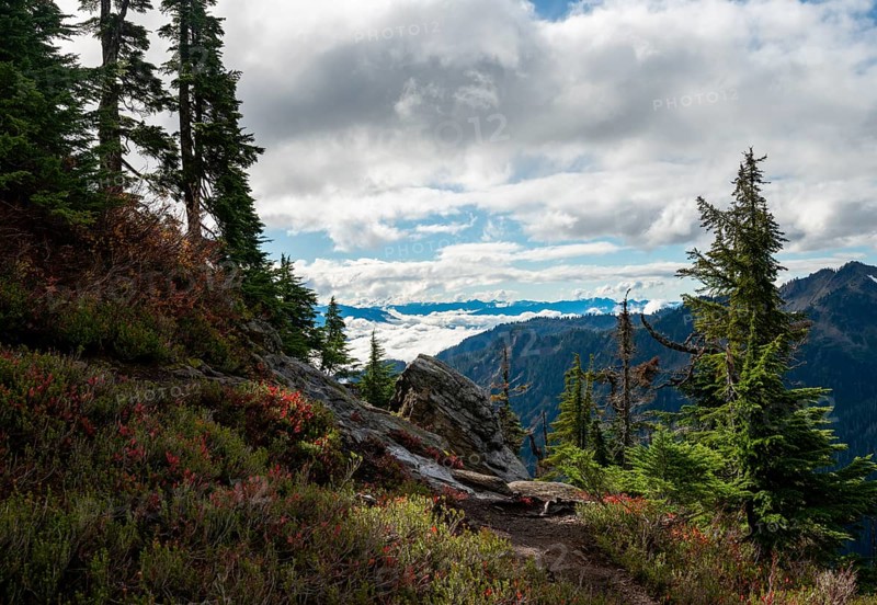 Hiking trail at Huntoon Point