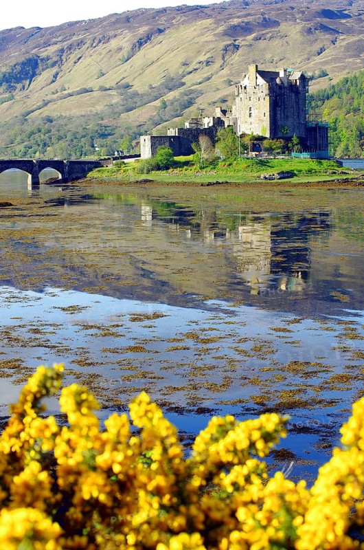 Castle reflected in the water