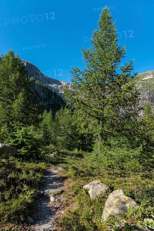 Landscape of the Rhone valley near the hamlet of Gletsch