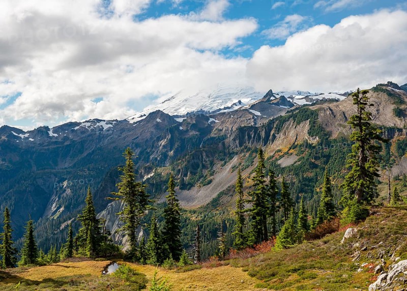 View of Mt. Baker with snow and glacier