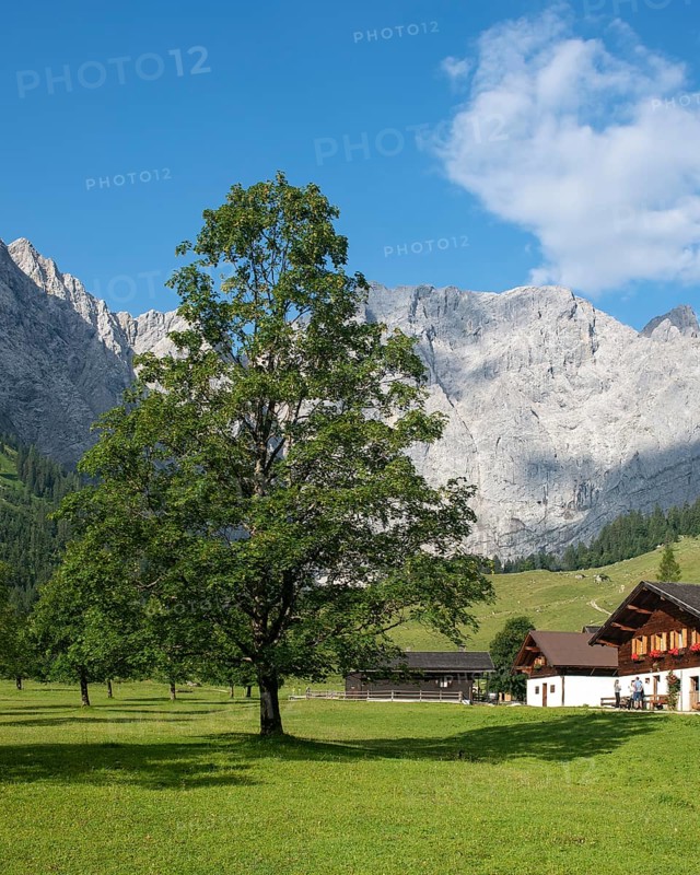 Grosser Ahornboden