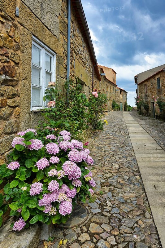 Narrow street with flowers and old stone houses