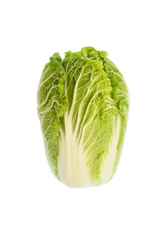 Chinese cabbage