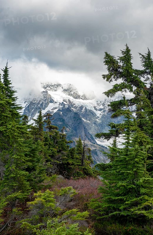 View from Table Mountain of Mt. Shuksan with snow and glacier