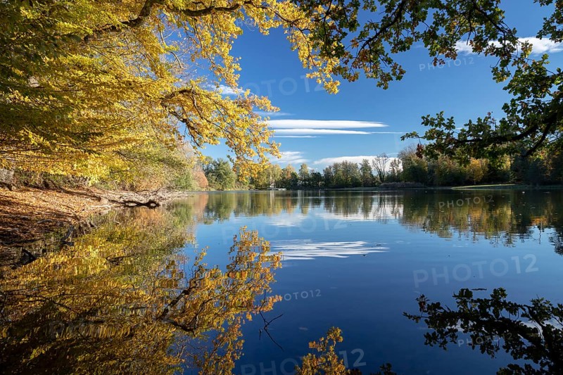 Autumn trees on the shore of the Lengwil pond