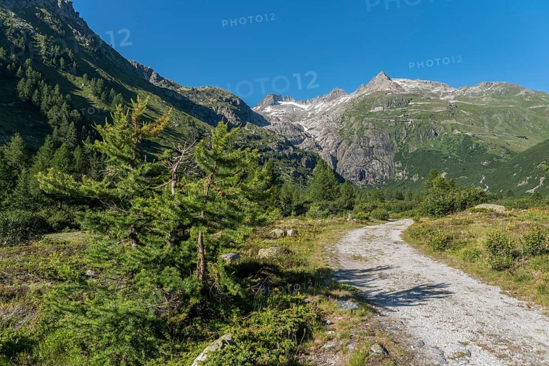 Landscape of the Rhone valley near the hamlet of Gletsch