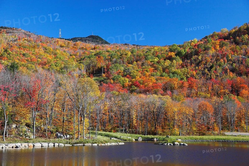 Autumnal landscape