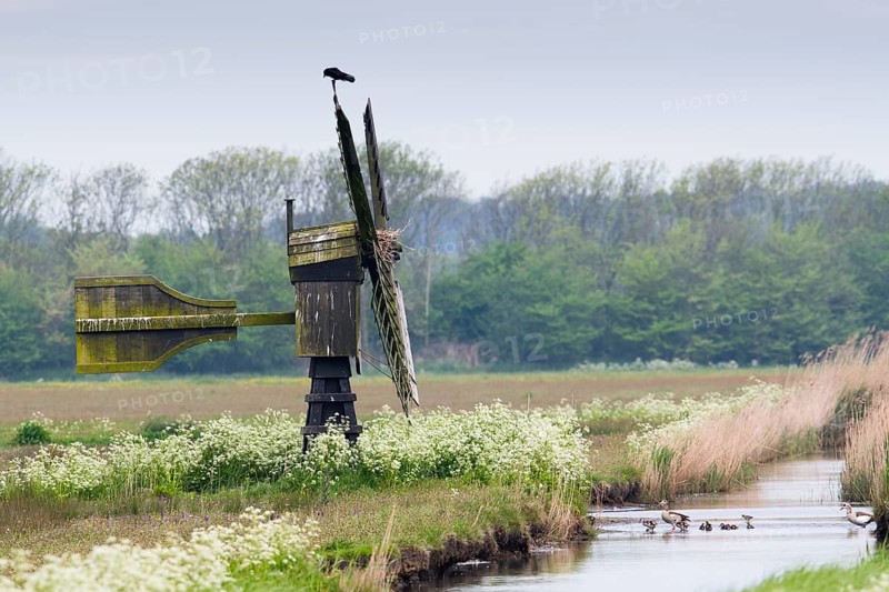 Scoop Mill