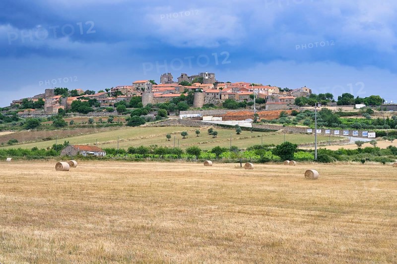 Crop fields near Castelo Rodrigo village