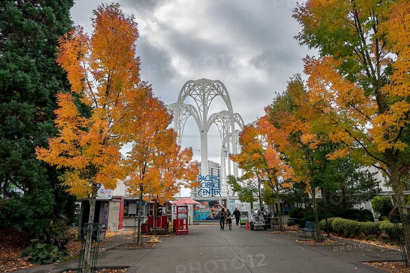 Street with autumnal trees