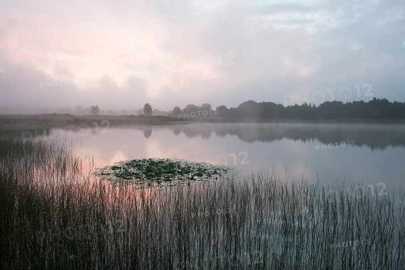 Heidesee at sunrise